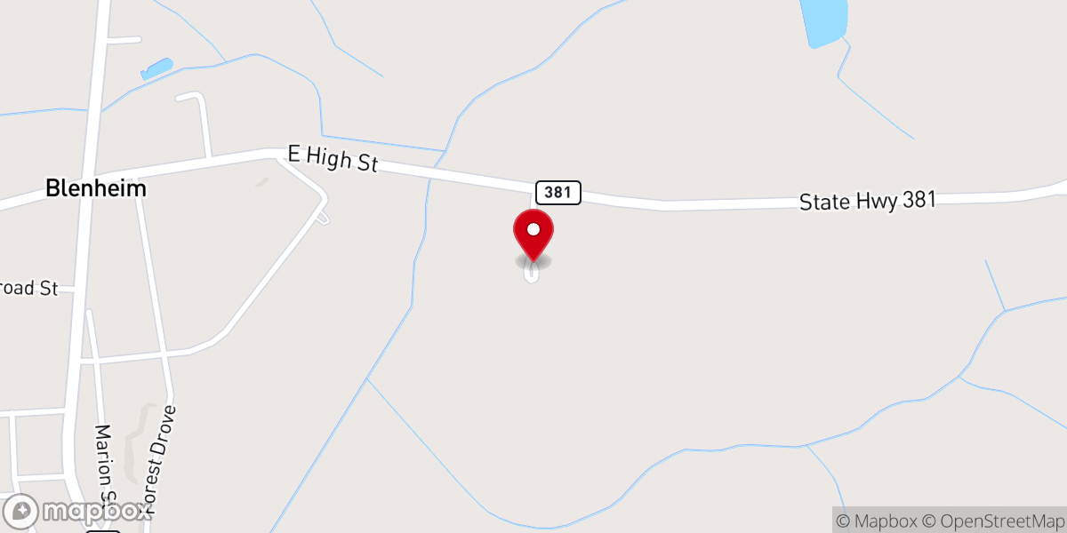 Map showing location of Driggers Chapel