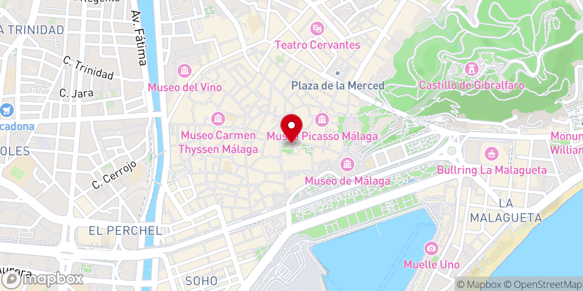 Map showing location of Iglesia Capitular de El Sagrario