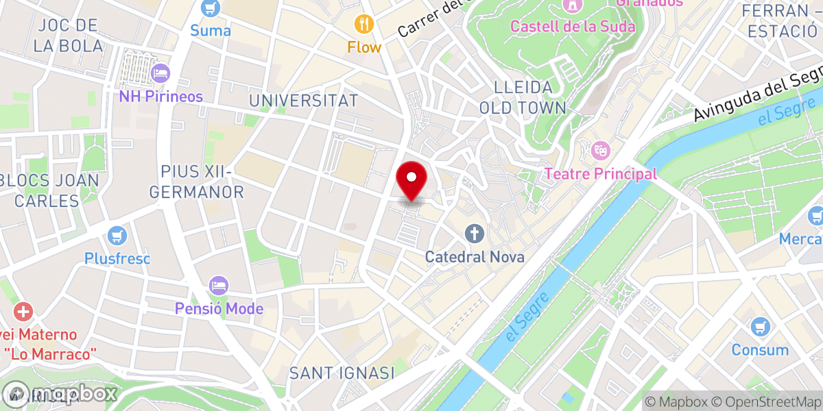Map showing location of Museo de Lleida