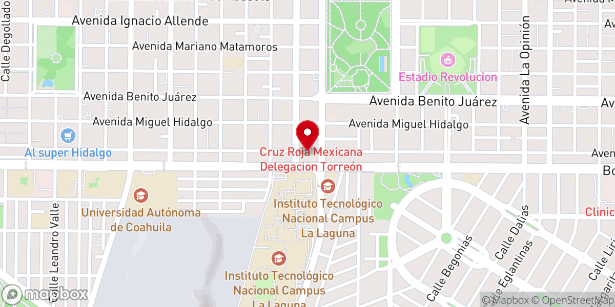 Map showing location of Centro Evangélico Vida Nueva (Torreón)