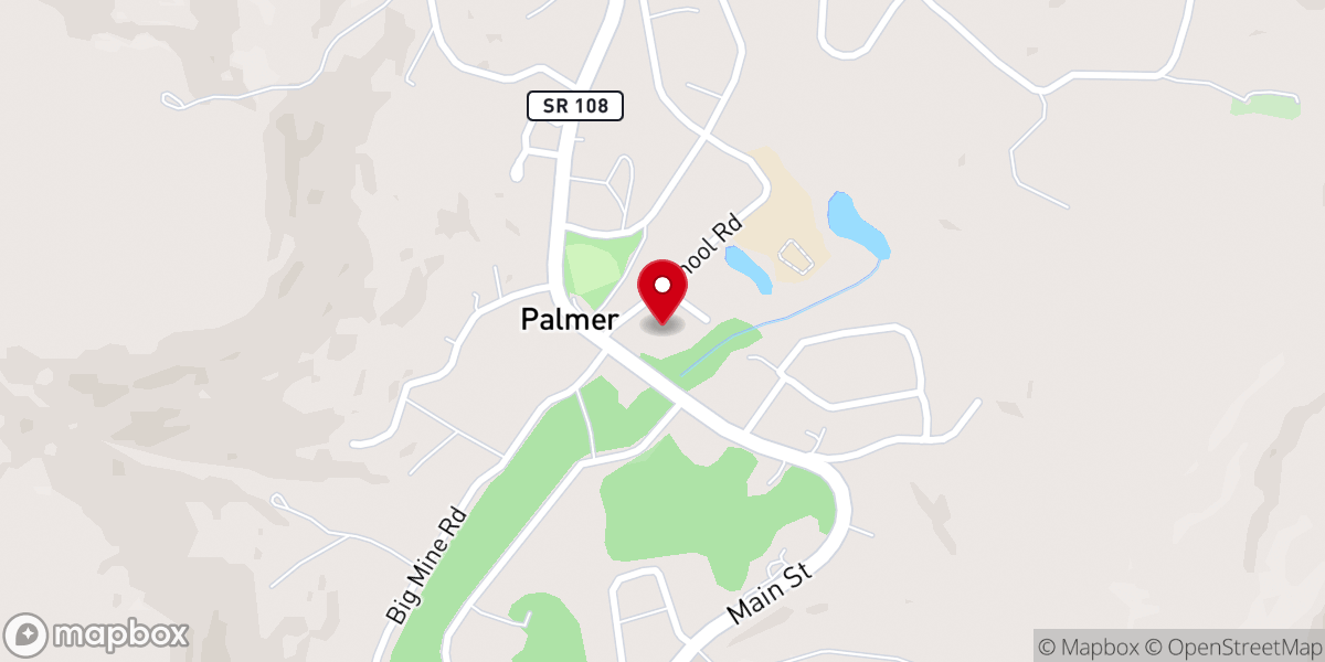 Map showing location of Palmer methodist church Palmer tn