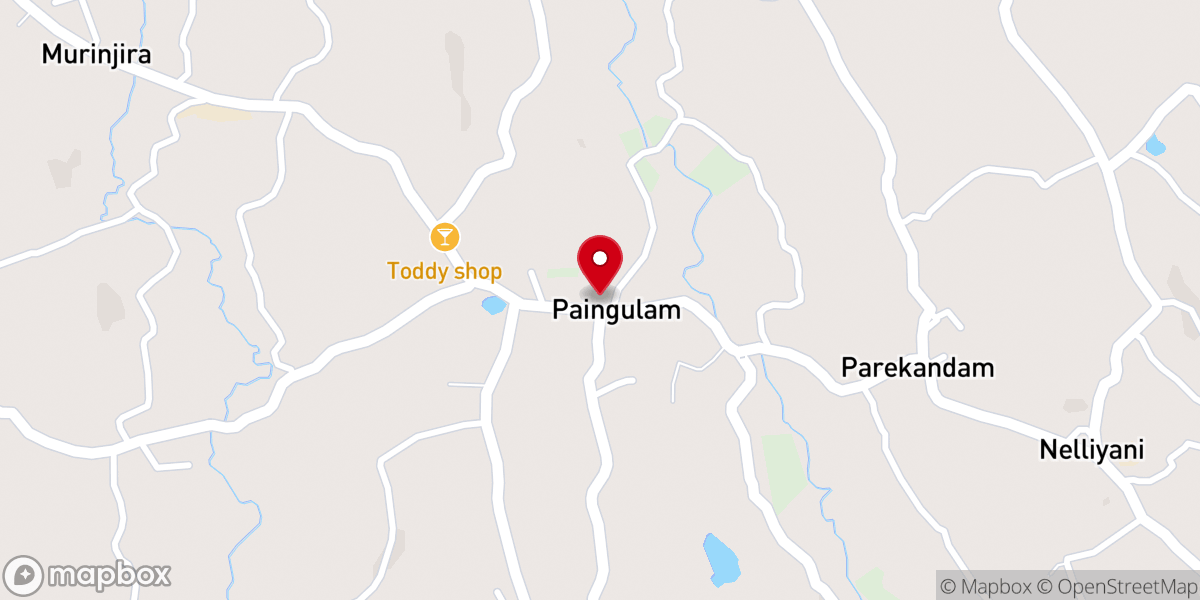 Map showing location of St. Mary's Syro-Malabar Church, Paingalam