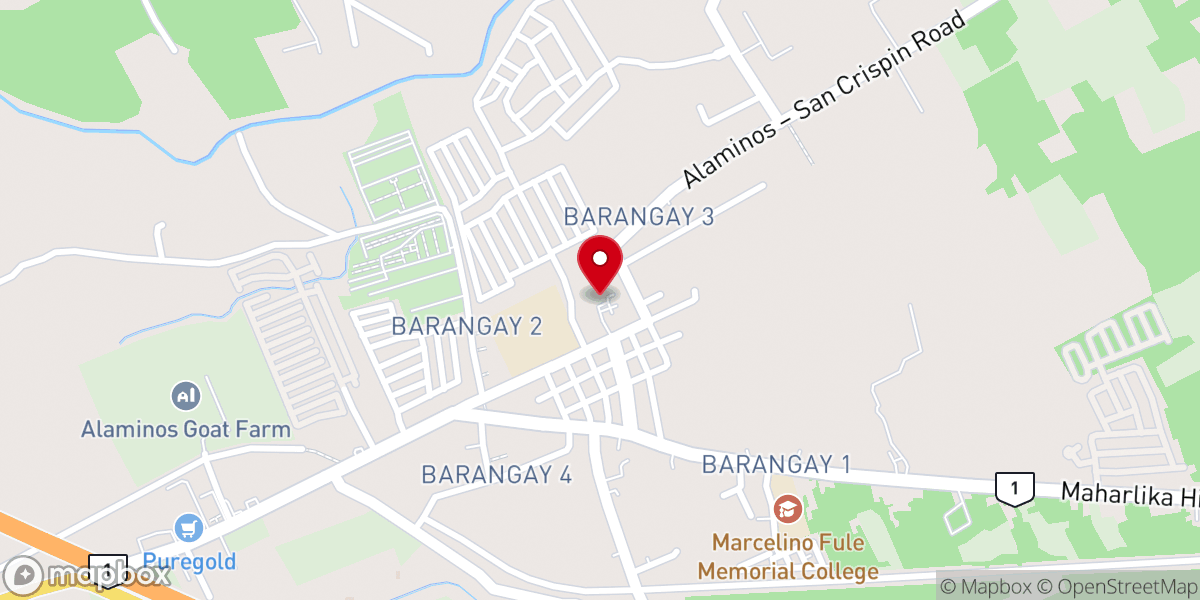 Map showing location of Our Lady of the Pillar Parish Church, Alaminos, Laguna (Diocese of San Pablo)