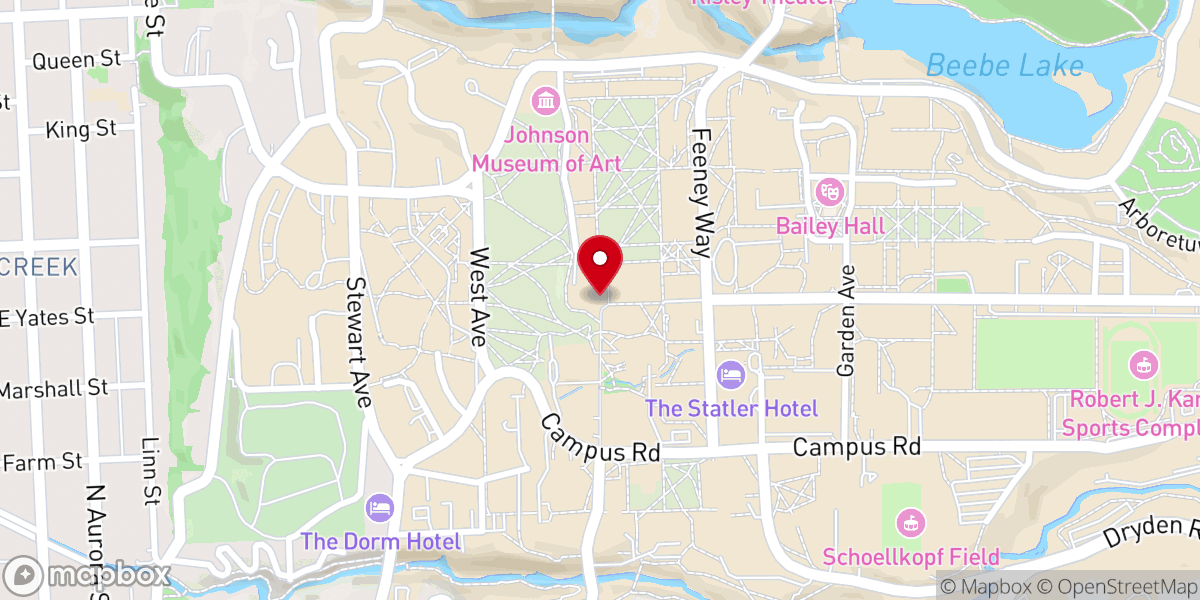Map showing location of McGraw Tower