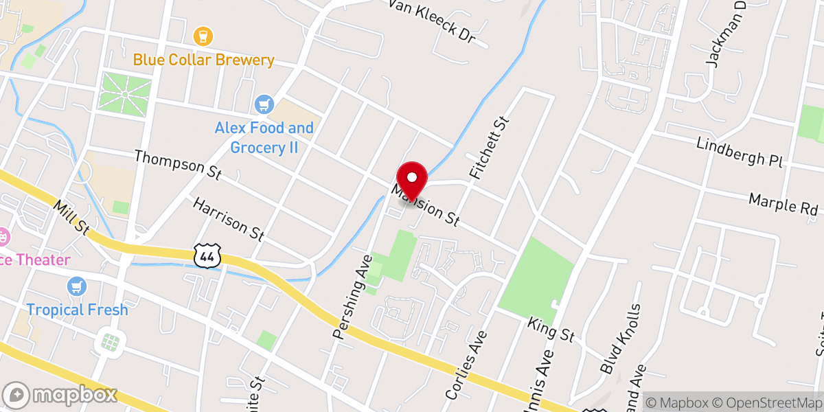 Map showing location of Congregation Brethren of Israel Vassar Temple