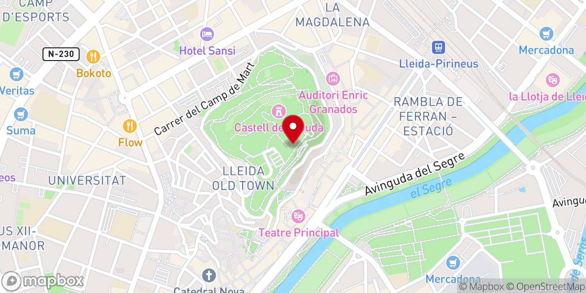 Map showing location of Campanario de la Seu Vella