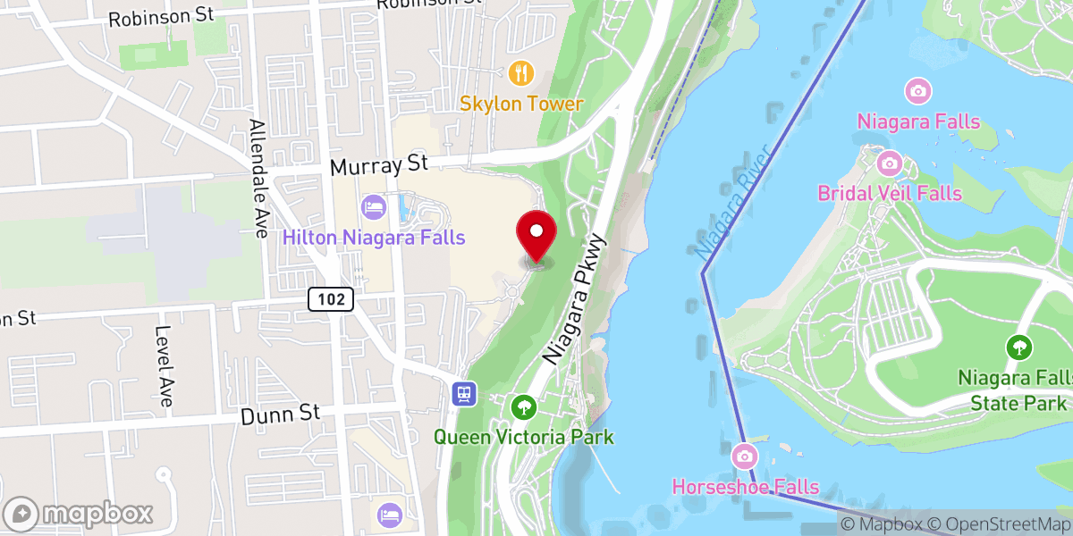 Map showing location of Falls View