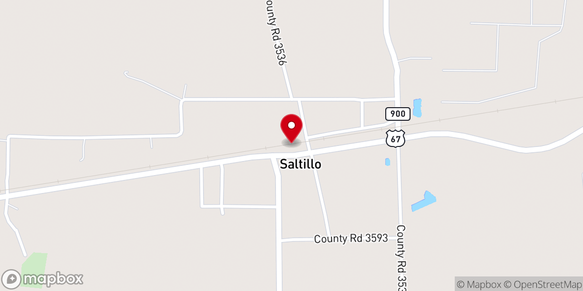 Map showing location of Saltillo