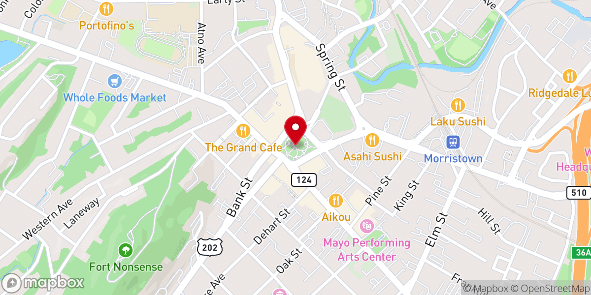 Map showing location of Morristown Green