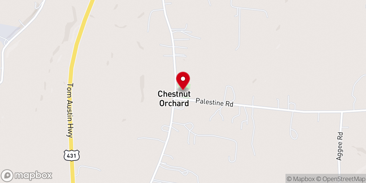 Map showing location of Palestine Church