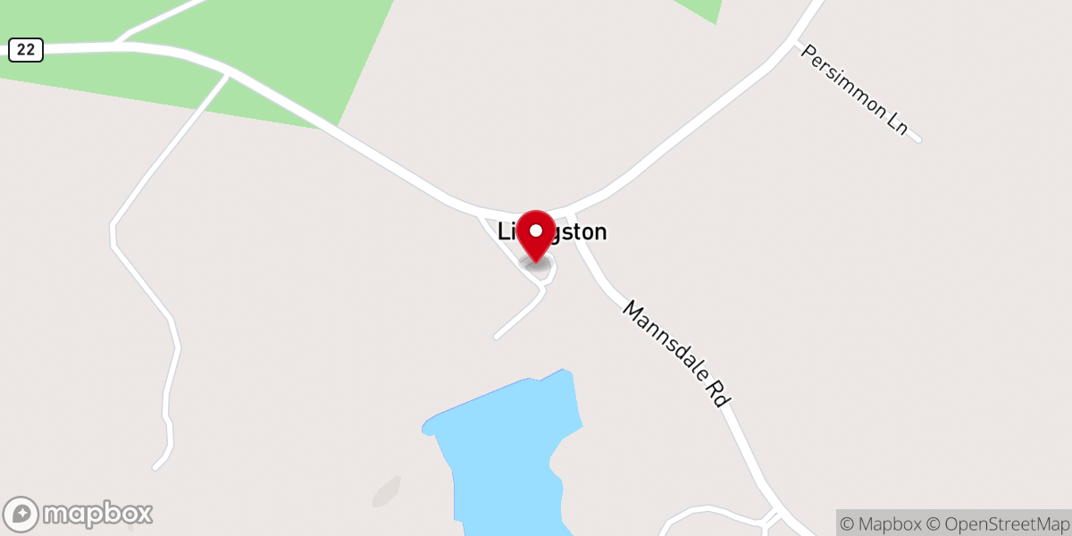Map showing location of Livingston Square