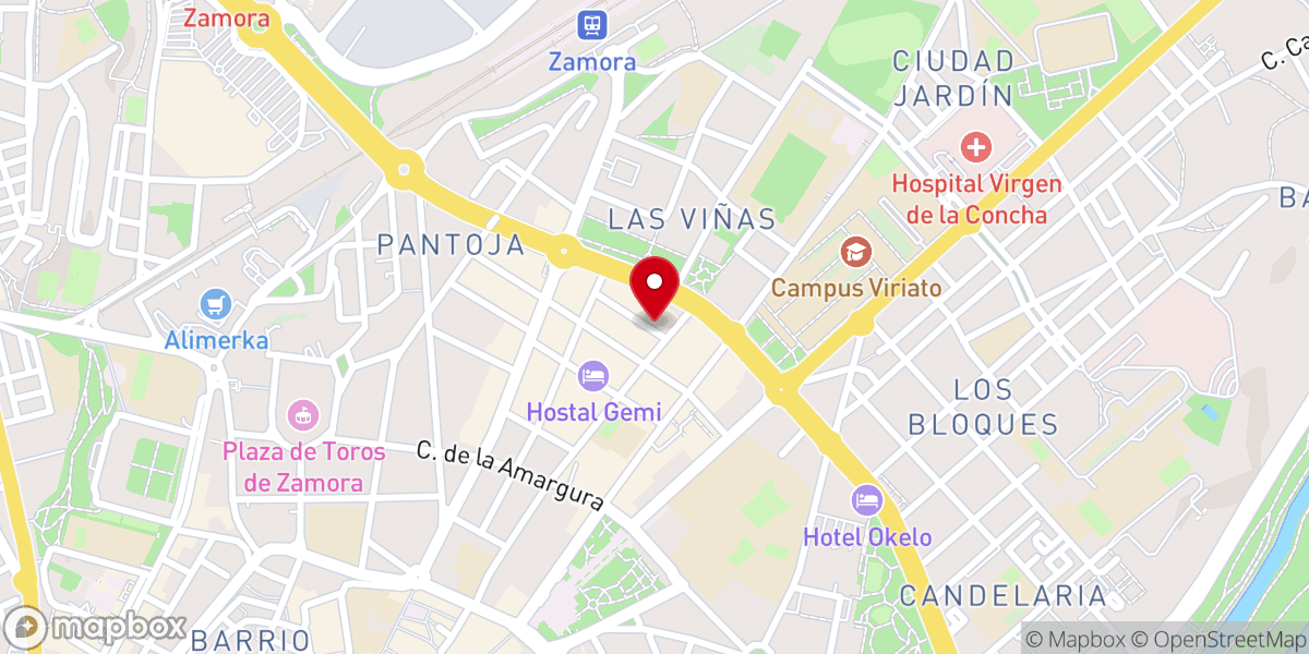 Map showing location of Iglesia Nueva Vida Zamora