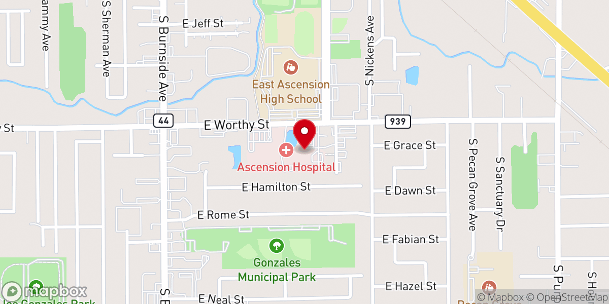 Map showing location of Ascension Parish Government
