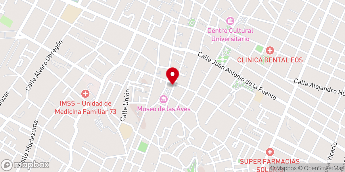 Map showing location of Templo San Juan Nepomuceno