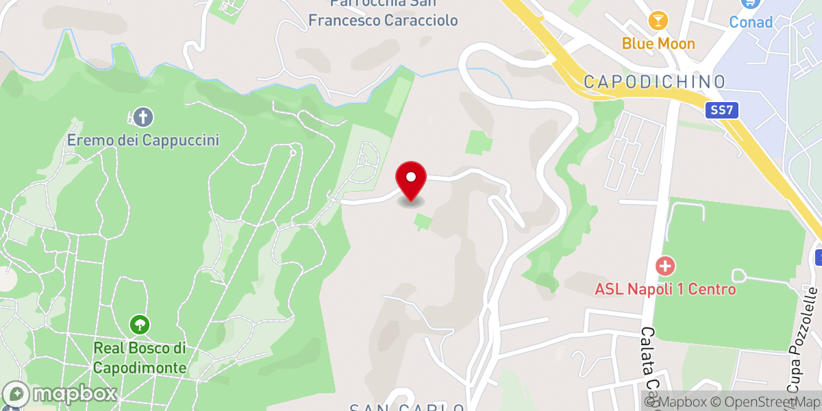 Map showing location of Monastero Dei SS.Teresa e Giuseppe Carmelitane Scalze