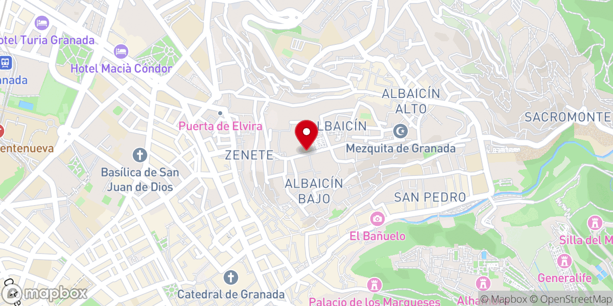 Map showing location of Monasterio de Santa Isabel La Real
