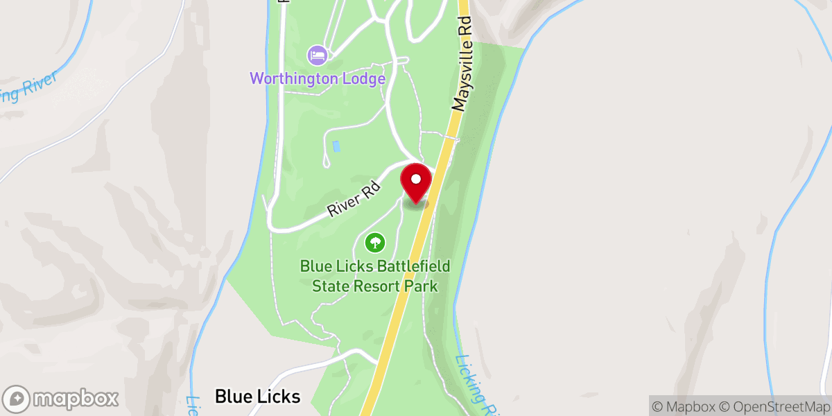 Map showing location of Blue Licks Church