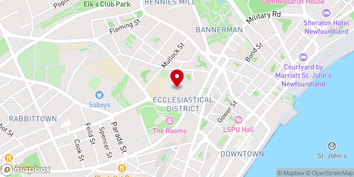 Map showing location of The Cathedral Basilica Foundation NL