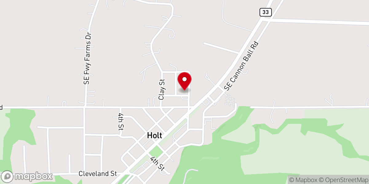 Map showing location of Holt United Methodist Church