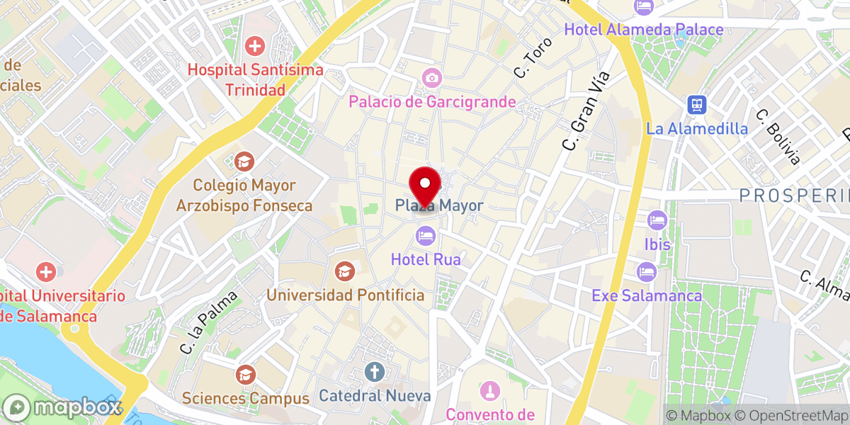 Map showing location of Iglesia de San Martín de Tours