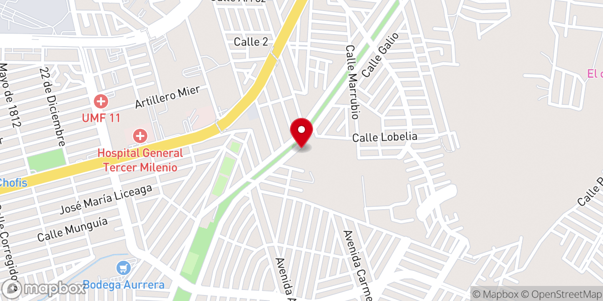 Map showing location of MINISTERIOS EBENEZER AGUASCALIENTES