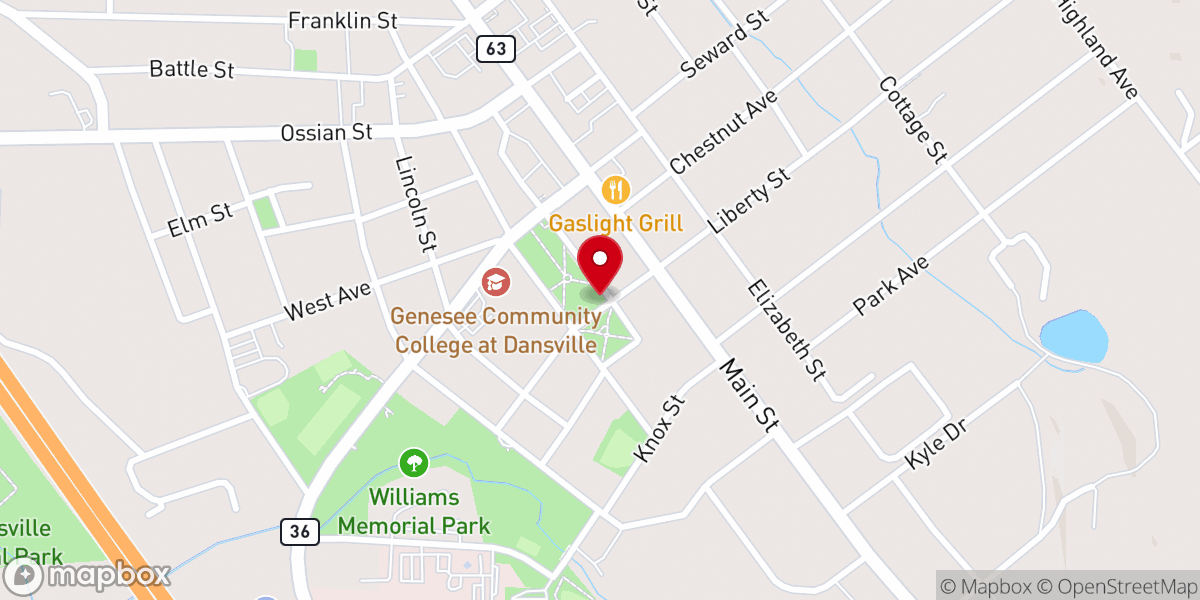 Map showing location of Dansville Area Historical Museum
