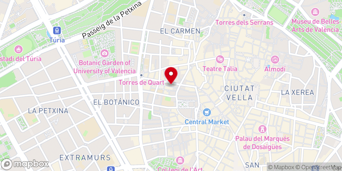 Map showing location of Plaza del mercado central s/n