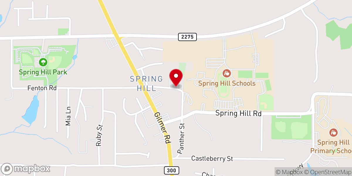 Map showing location of Elmira Chapel Presbyterian Church