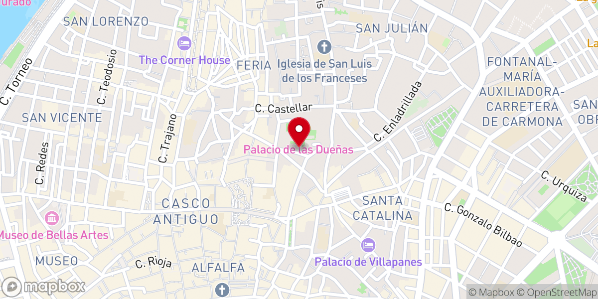 Map showing location of Palacio de Las Dueñas