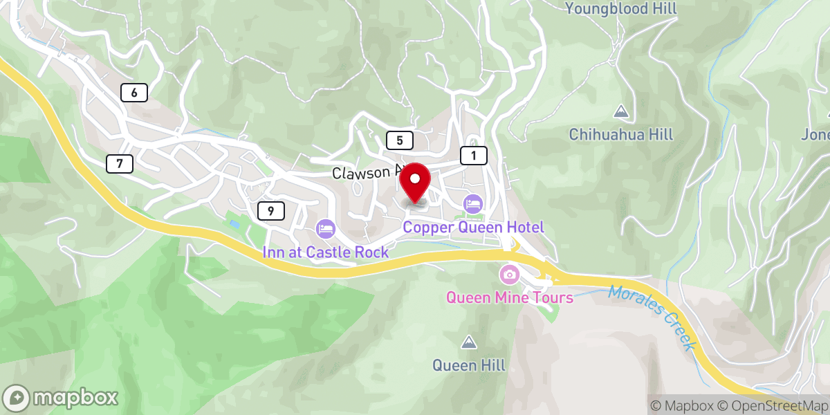 Map showing location of The Bisbee Duck