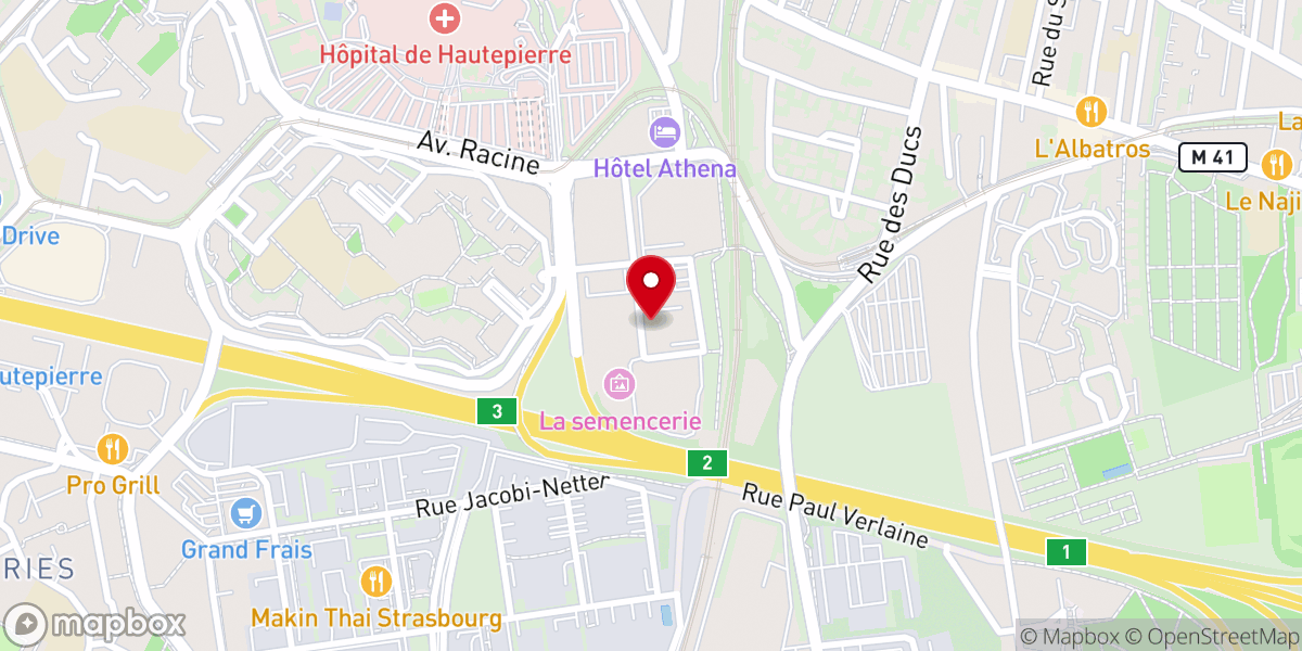 Map showing location of DİTİB Strasbourg