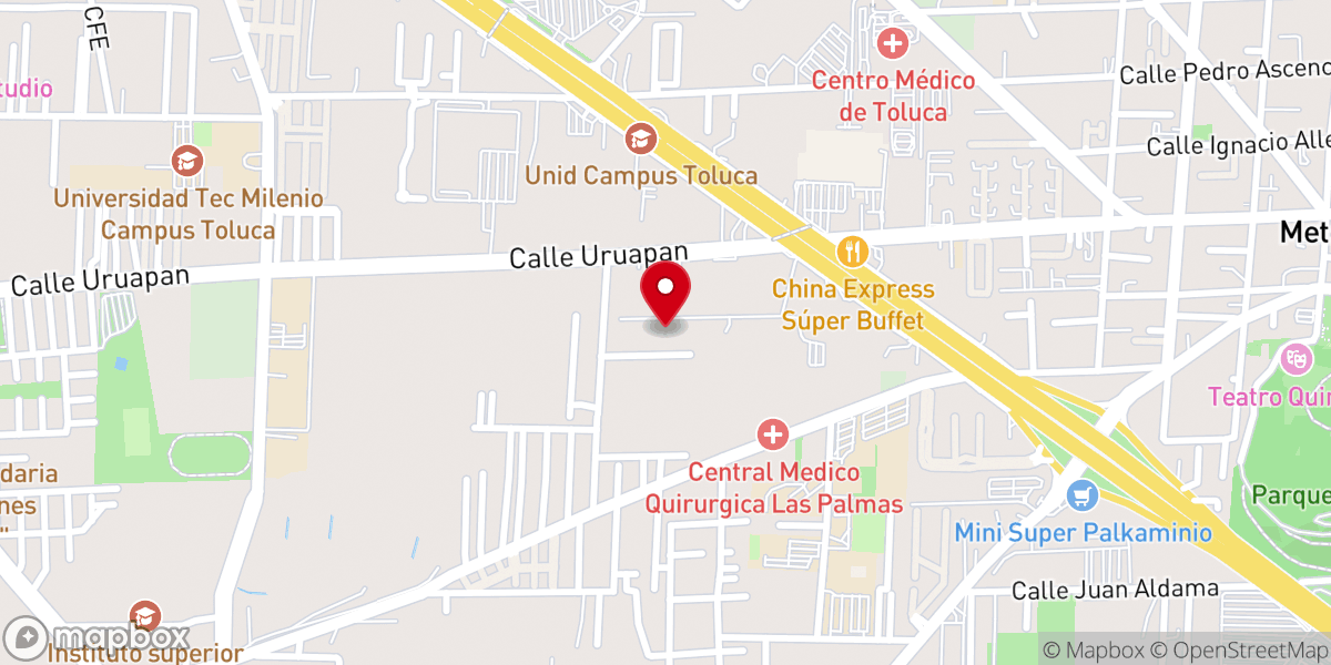 Map showing location of Vida Nueva para el Mundo (Toluca-Metepec)