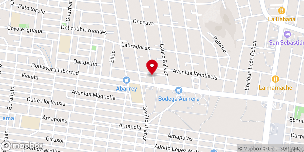 Map showing location of 5ta IAFCJ Hermosillo