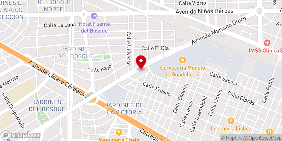 Map showing location of Más Vida Guadalajara