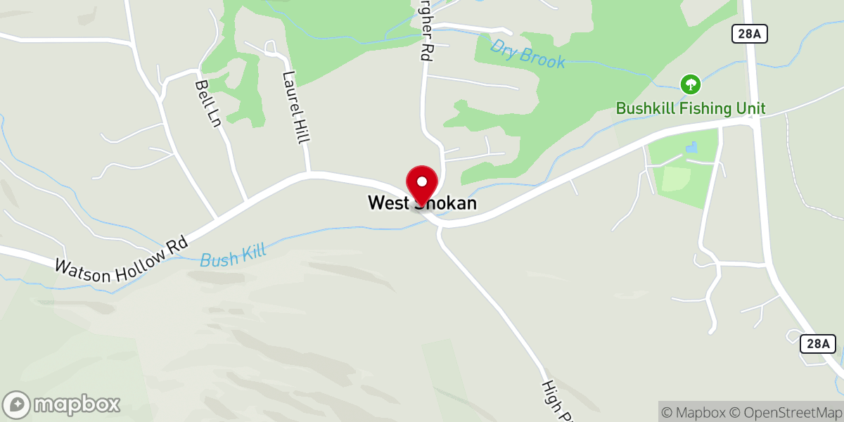 Map showing location of West Shokan
