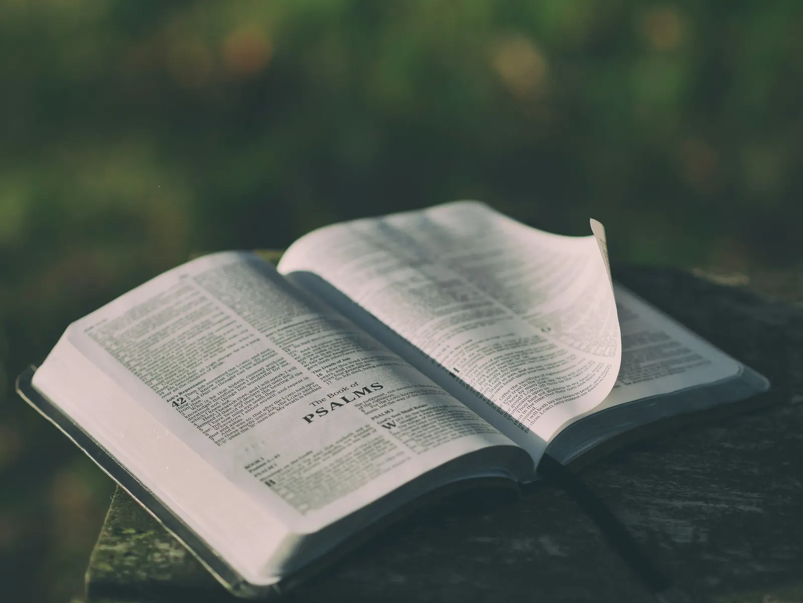 an open Bible turned to the Book of Psalms with soft green bokeh light behind it